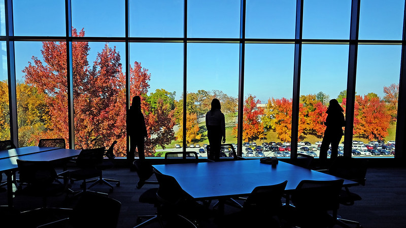 CoBA Members looking of the window at the fall leaves in room 103 in Anheuser-Busch Hall at UMSL